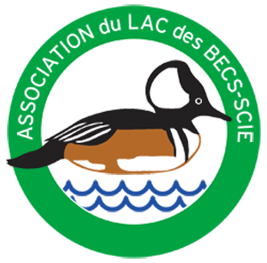 Association du Lac des Becs-scie